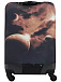 Чехол для чемодана Eberhart EBH691-M Solar