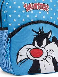 Сет детский чемодан, рюкзак, мешок, пенал Roncato 441011 Looney Tunes