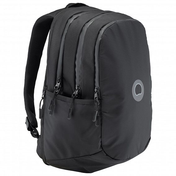 Рюкзак для ноутбука Delsey 3191620 Quartier Latin+ Backpack 14