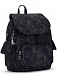 Рюкзак Kipling KI4581R19 City Pack S Small Backpack