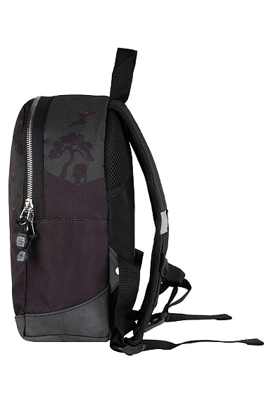 Рюкзак Pick & Pack PP20330 Ninja Story Backpack S