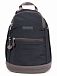 Рюкзак Hedgren HGA308 Greater American Backpack Leory Рюкзак Hedgren HGA308 Greater American Backpack Leory