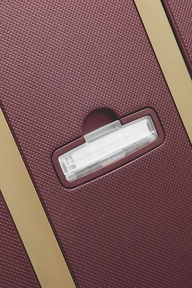 Чемодан Samsonite U44*004 S'Cure DLX Spinner 81/30