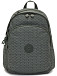 Рюкзак Kipling KI5695F6C Delia Medium Backpack