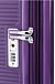 Чемодан American Tourister AO8*003 Curio Spinner 80/30 Exp TSA