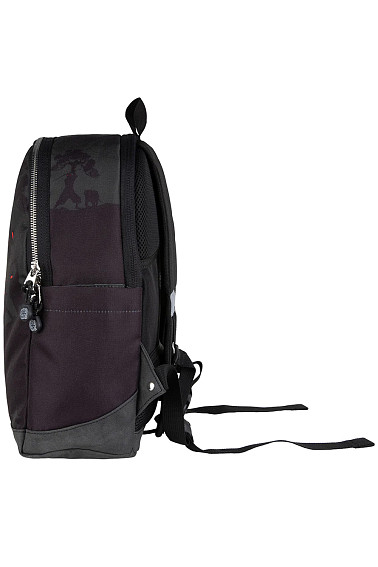 Рюкзак Pick & Pack PP20331 Ninja Story Backpack M