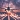 *Airplane