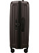 Чемодан Samsonite KU2*003 2Wander Spinner exp. 75
