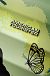 Чемодан American Tourister 26C*017 Palm Valley Disney M