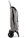 Сумка-тележка Rolser IMX381 Gris Tweed 2