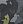 *GCM Green Camo