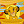 *03 Simba
