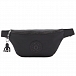 Сумка поясная Kipling KI5270P39 Fresh Small Bum Bag