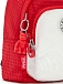 Сумка-рюкзак Kipling KI64090EV Delia Compact Small Backpack