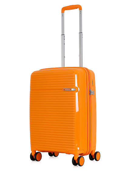 Чемодан и бьюти-кейс Robinzon RP10738-H Hokkaido S+BCL