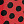 *3087 Lady Bug