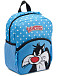 Сет детский рюкзак и пенал Roncato 441015 Looney Tunes DLX Kids backpack