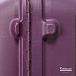 Чемодан Delsey 3842820 Belfort Trolley Case 70/4
