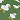 *4640 Green Duck