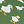 *4640 Green Duck