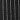 *Carbon
