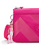 Сумка кросс-боди Kipling KI7476BA2 Riri Small Cross-Body Bag