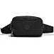 Сумка Kipling KI3492K59 Abanu Multi Small Crossbody Convertible To Waistbag