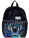 Рюкзак Pick & Pack PP20192 Dangerous Cat Backpack M