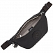 Сумка поясная Kipling KI5270P39 Fresh Small Bum Bag