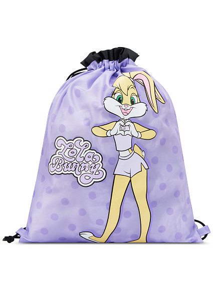Сет детский чемодан и мешок Roncato 441000 Looney Tunes
