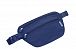 Сумка на пояс Samsonite CO1*074 Travel Accessories RFID Money Belt