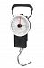 Весы Samsonite CO1*032 Travel Accessories Manual Scale