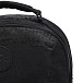 Рюкзак Kipling KI6090X23 Osho Large Backpack