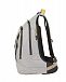 Рюкзак для ноутбука Samsonite 01N*003 Paradiver Light Backpack L+ 15.6