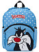 Сет детский рюкзак и пенал Roncato 441015 Looney Tunes DLX Kids backpack