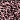 *881-01 Rose Elegance