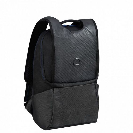 Рюкзак Delsey 2006600 Montgallet 15,6"