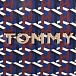  Сумка плечевая Tommy Hilfiger AW0AW07593 0G7 Iconic