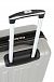 Чемодан Wenger WGR6297404154 Uster S