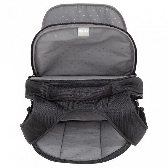 Рюкзак Delsey 1244600 Montmartre Pro 2-Vaks Backpack S