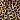*3041 Brown Leopard