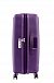 Чемодан American Tourister AO8*003 Curio Spinner 80/30 Exp TSA