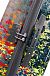 Чемодан American Tourister 03G*005 Jazz 2.0 Spinner 76