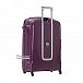 Чемодан Delsey 3842821 Belfort Trolley Case 76/4