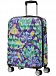 Чемодан American Tourister 84G*001 Wavebreaker Spinner 55