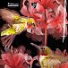 Чемодан Heys 13005-3064-30 Fashion Spinner Floral Hummingbird Чемодан Heys 13005-3064-30 Fashion Spinner Floral Hummingbird