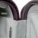 Чемодан Delsey 3842820 Belfort Trolley Case 70/4