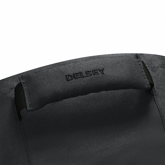 Рюкзак Delsey 3334600 Securban Backpack 15.6