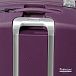 Чемодан Delsey 3842821 Belfort Trolley Case 76/4
